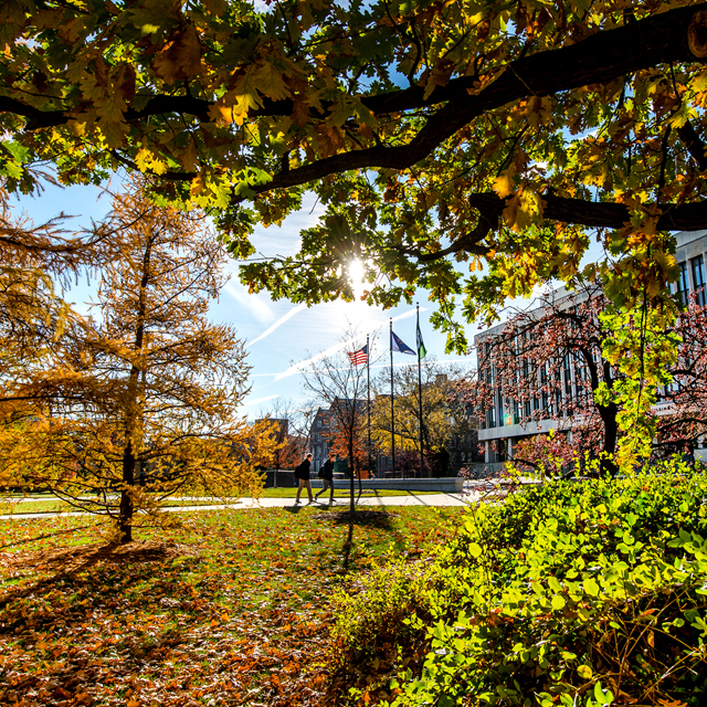 Frame of fall | MSUToday | Michigan State University