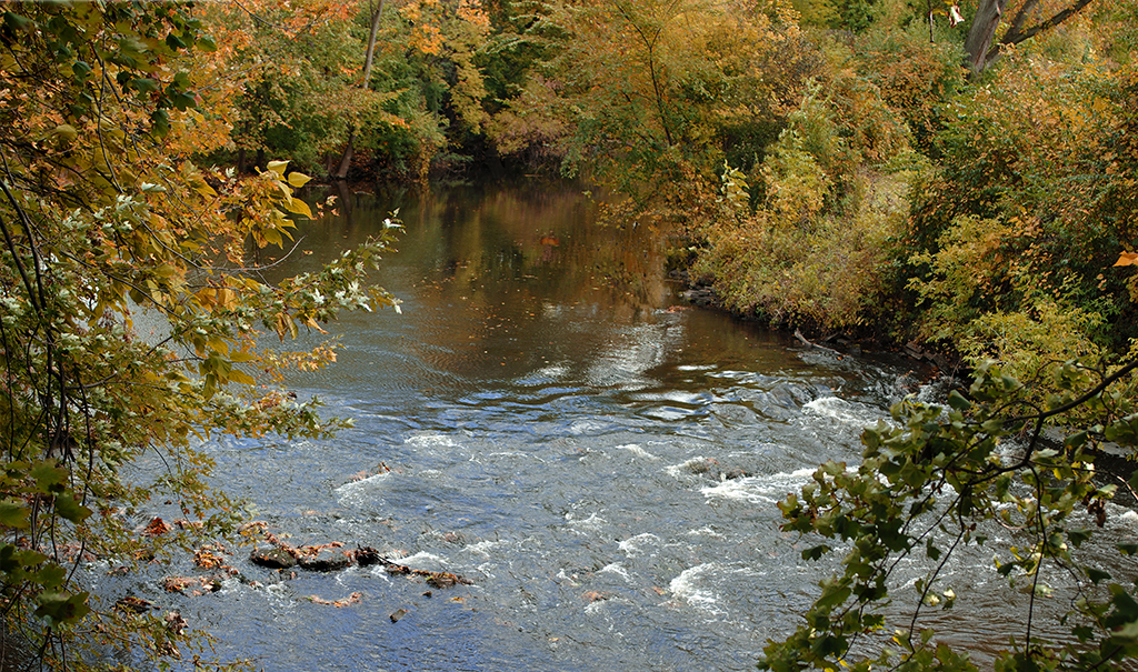 MSU receives EDA Investment Award | MSUToday | Michigan State University