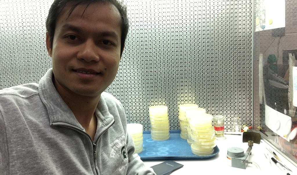 Onions hold key to plant disease management for Cambodian scholar | MSUToday | Michigan State