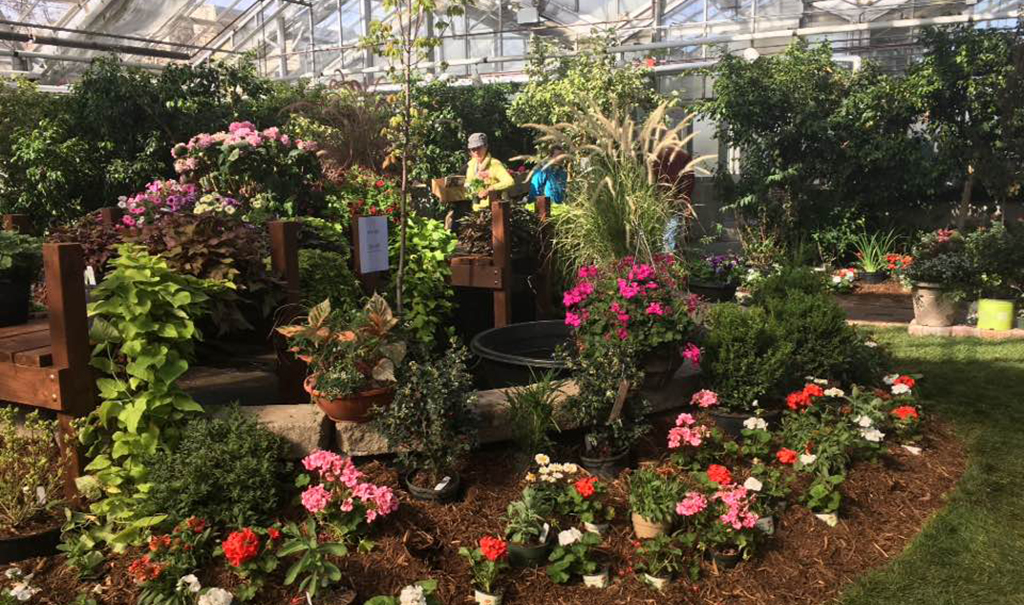 MSU to host 29th annual Spring Show and Plant Sale MSUToday