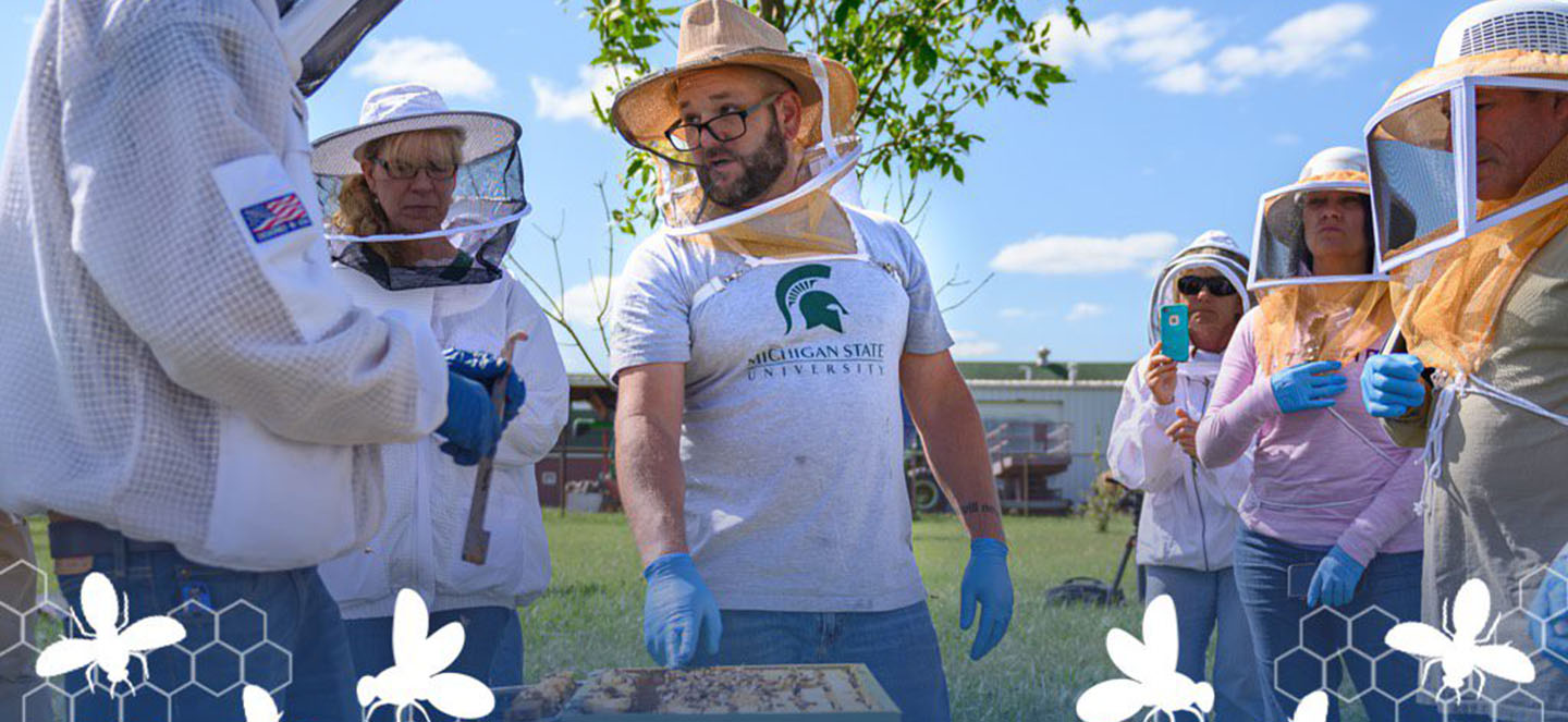 Beekeeping Is All the Rage. These Programs Can Help Veterans Get