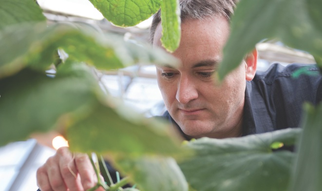 MSU researcher Brad Day studying plants 