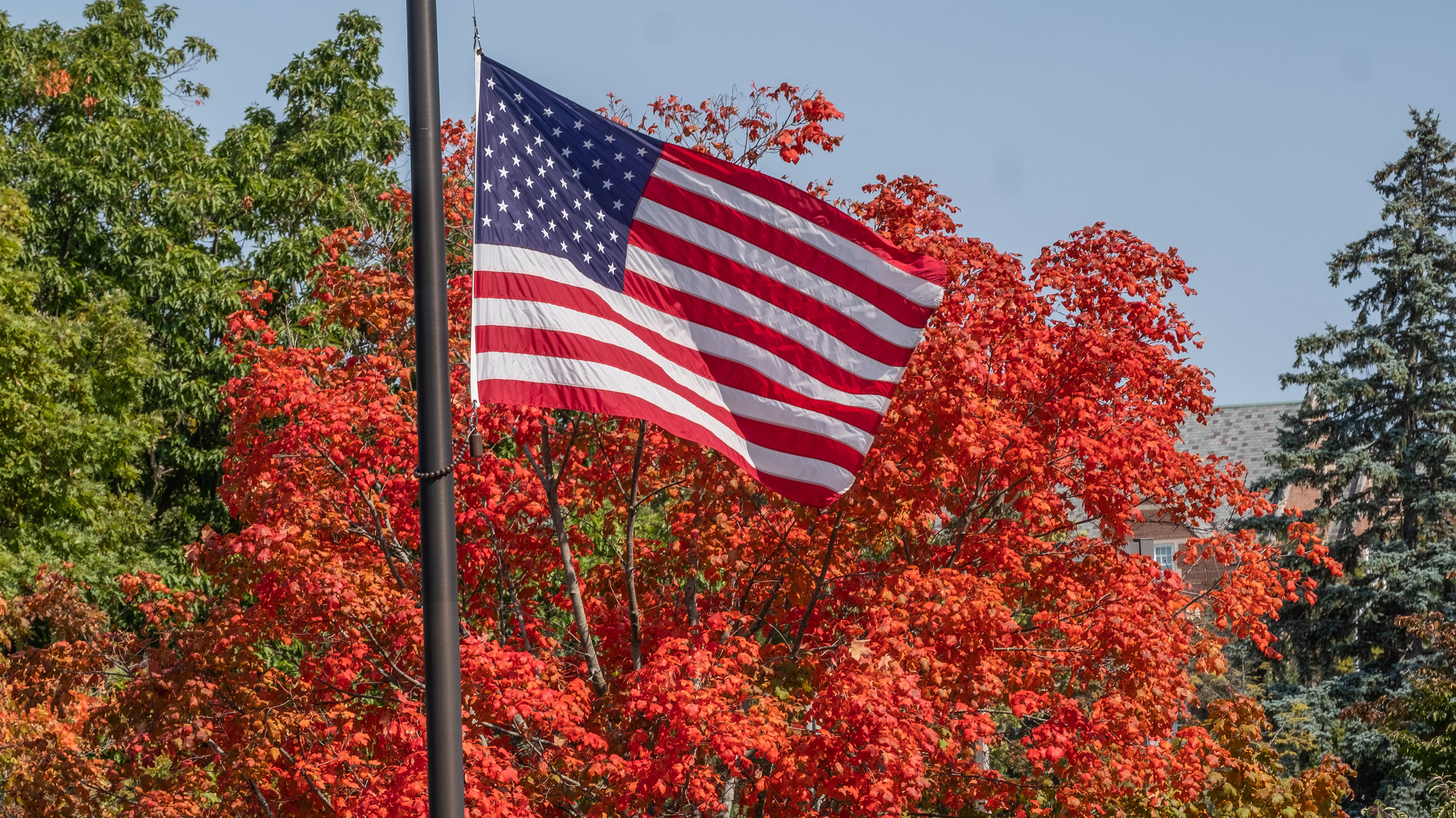 The week in photos MSUToday Michigan State University