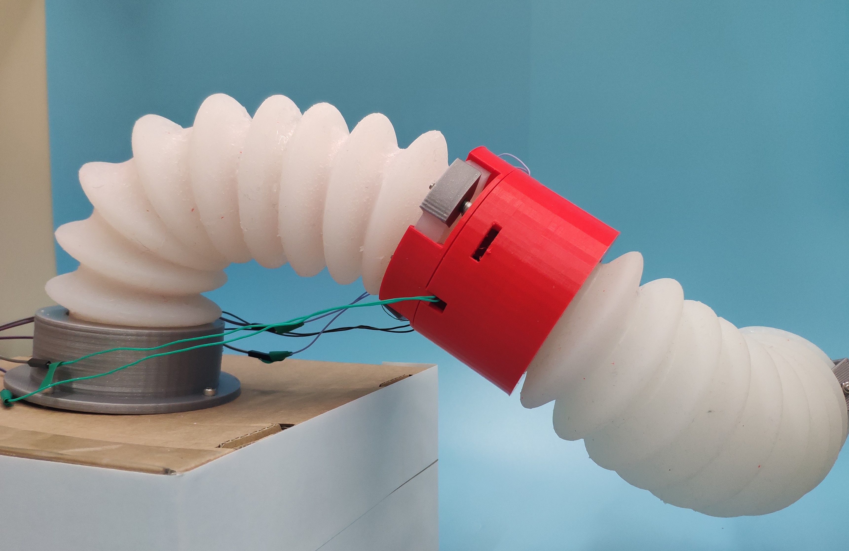 This photo shows an example of a robotic soft arm, built from two flexible white segments connected at a red elbow