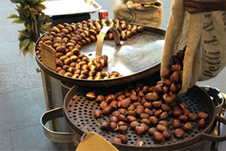 Chestnut display - Image  courtesy of Mario Mandujano
