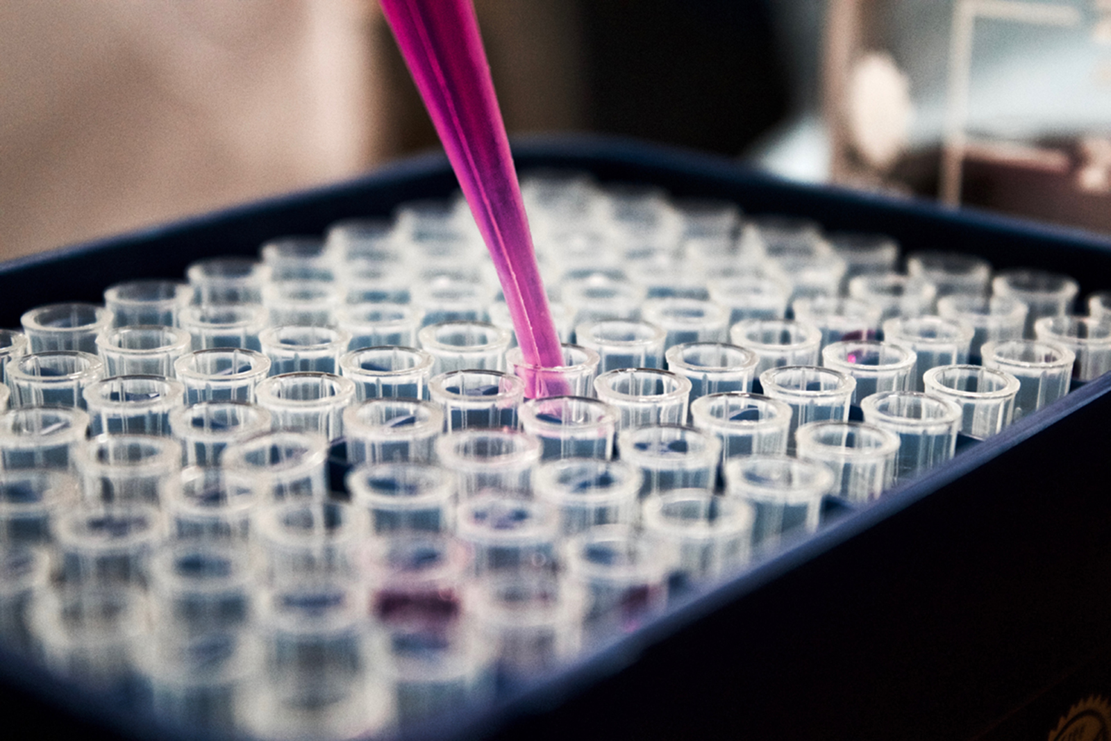 A photo shows a purple pipette tip going into a small, clear vial, which is surrounded by dozens of identical vials.