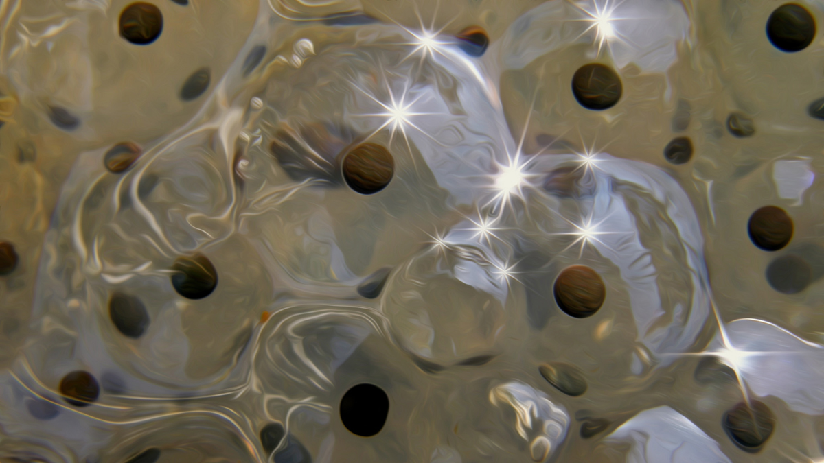 A close-up photograph shows frog eggs — clear orbs each with a dark sphere at its center — reflecting sunlight.