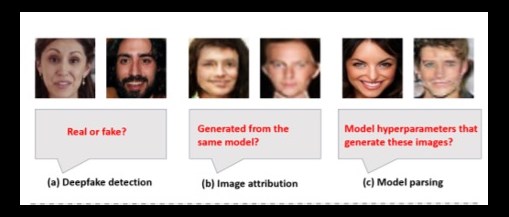 Deepfake model parsing 