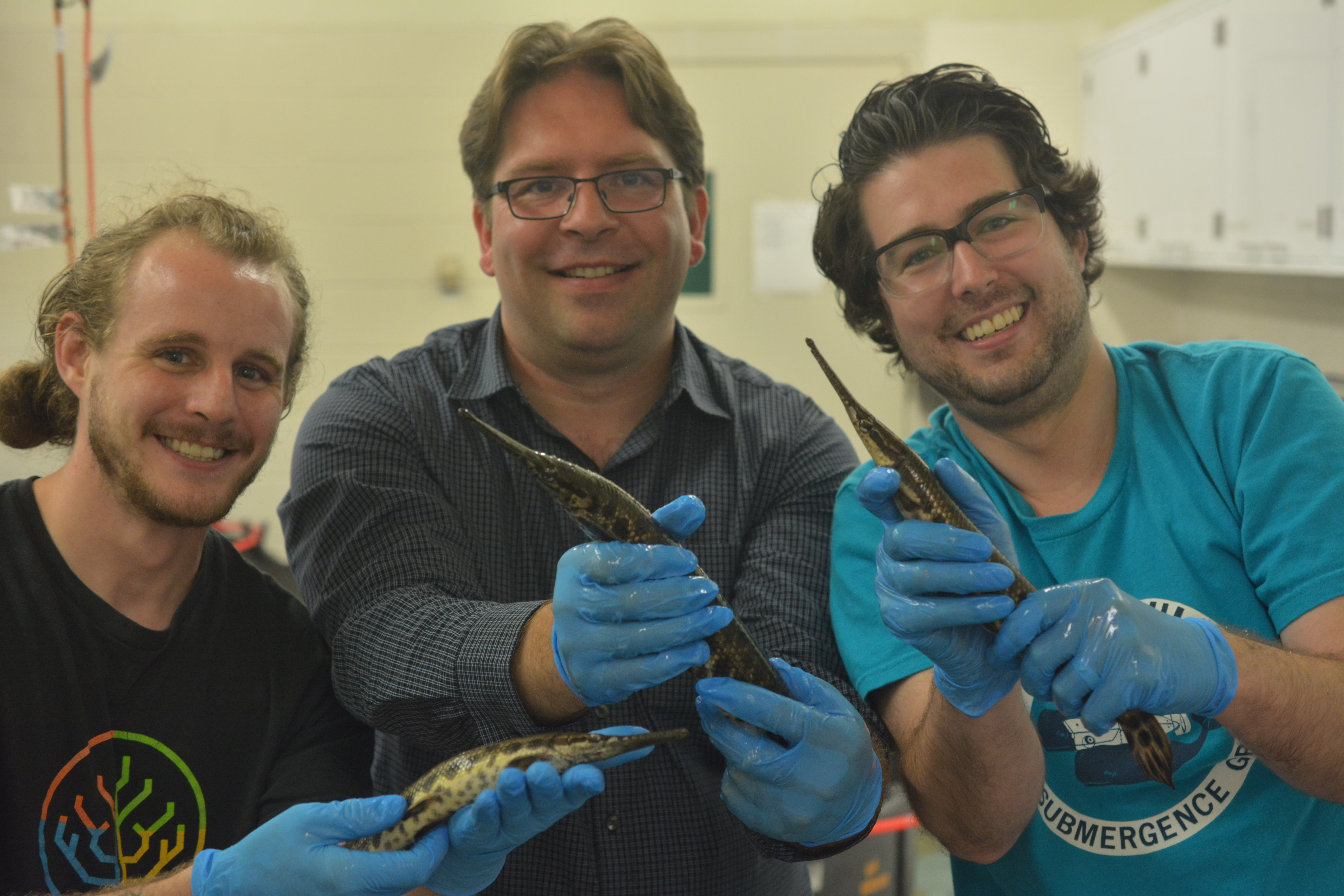 A photo shows Ingo Braasch holding a gar in his lab in 2019 with gar facility manager Brett Racicot to his right and postdoc Andrew Thompson to his right.