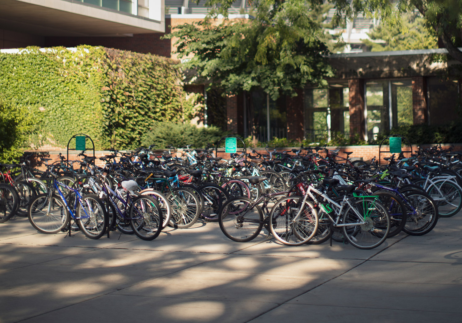 Bikes on bike racks outside of Wells Hall