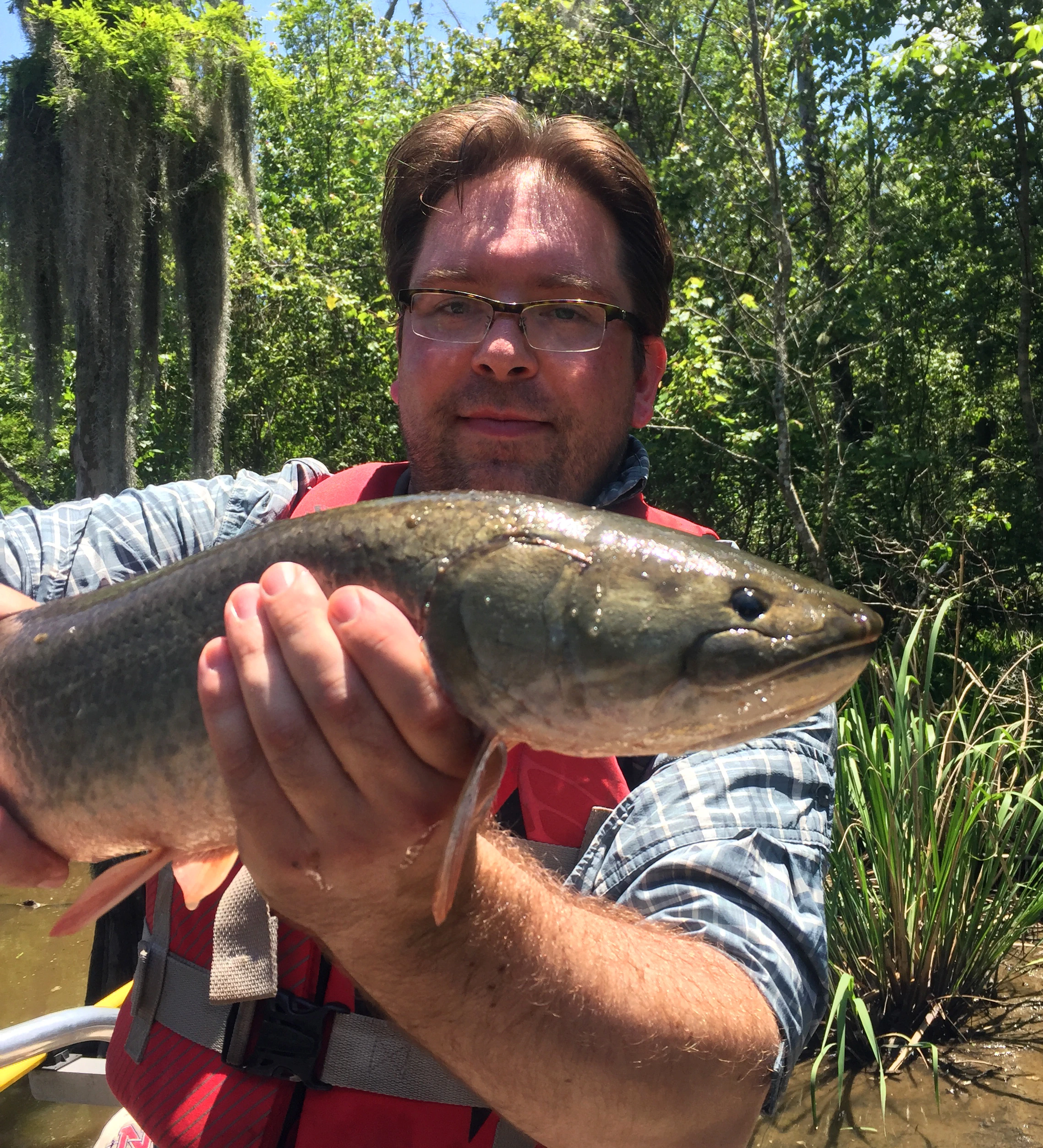MSU Assistant Professor Ingo Braasch poses with a wild-caught bowfin.