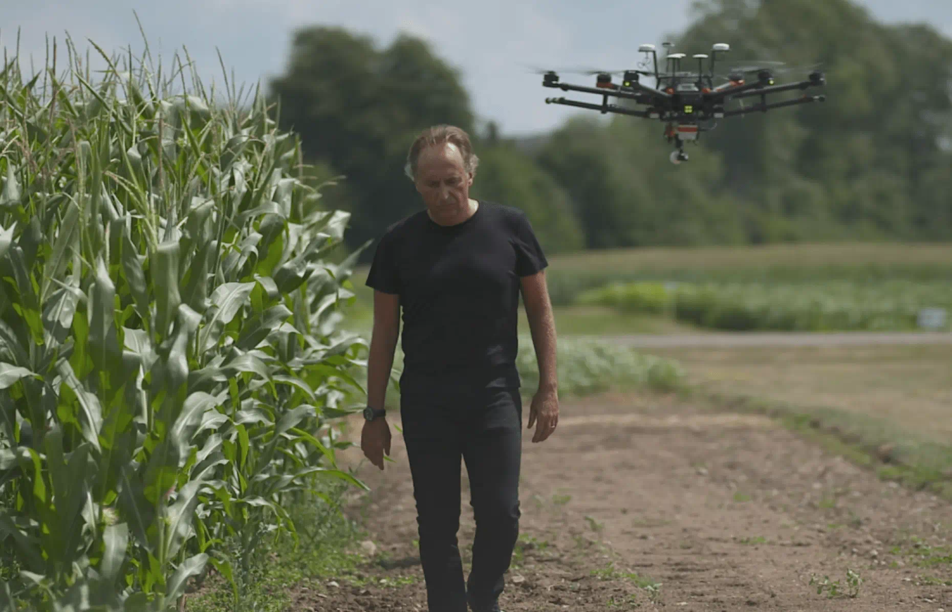 Bruno Basso, an MSU Foundation Professor, walks along a soil path in the center of a photo. A field of green grains grows to his left and a small drone with several rotors flying to his right in the foreground.