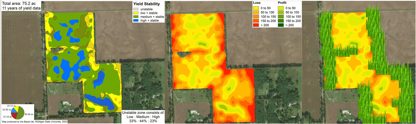 Three maps are arranged side by side, showing the same area of farmland. The first map shows Rorschach-like splotches of blue, green , yellow and red. The green areas are highly productive; green are moderate; yellow are low and red are unstable. The second map shows the profitability of those areas, with highly productive areas being most profitable (shown as more green) and low and unstable areas operating at a loss (shown in red). The final map replaces the lossy areas with spiky green graphics, showing where farmers could grow native grasses to cut losses, improve biodiversity and pull carbon dioxide from the atmosphere.