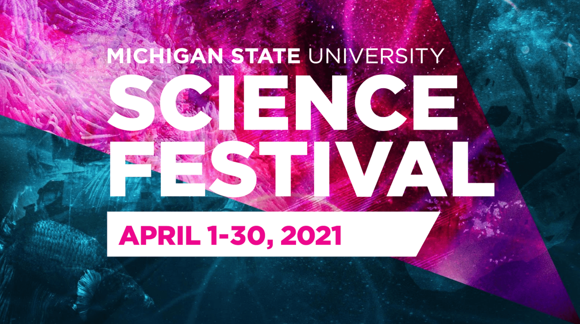 MSU’s Science Festival brings science celebration MSUToday Michigan