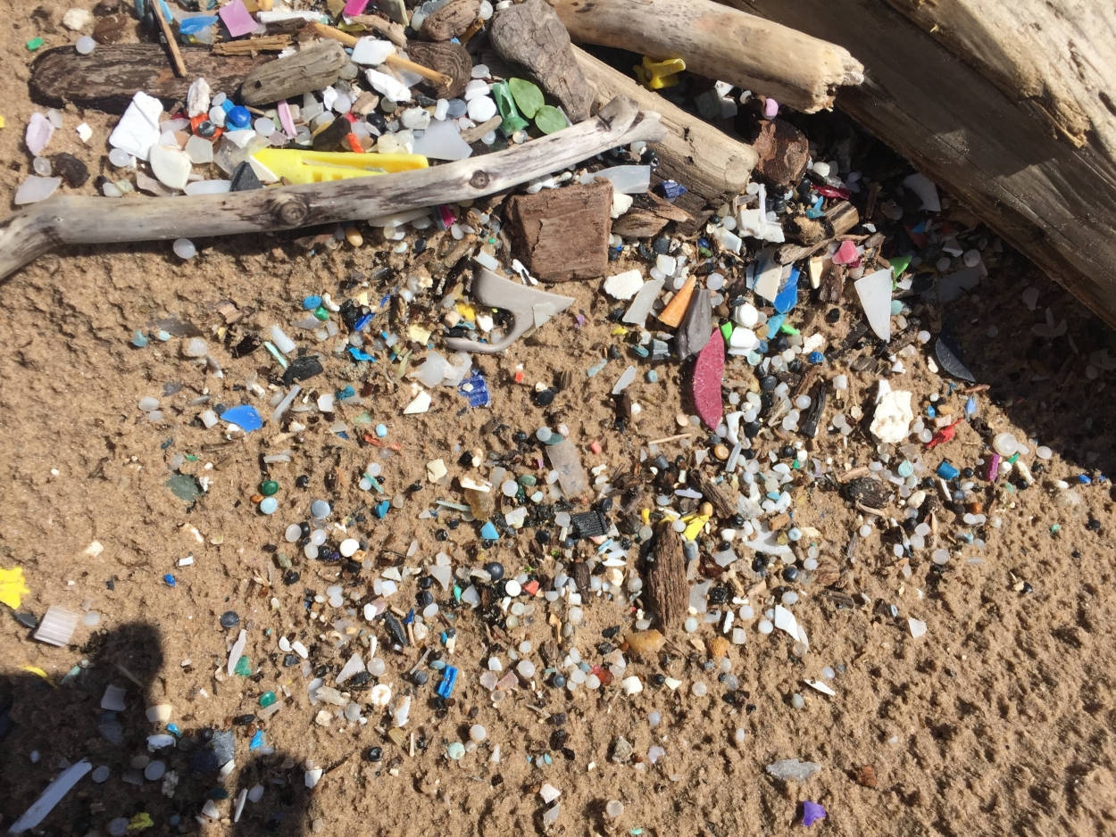 Small, colorful plastic particle pollute the brown sand of Lake Ontario's shore.
