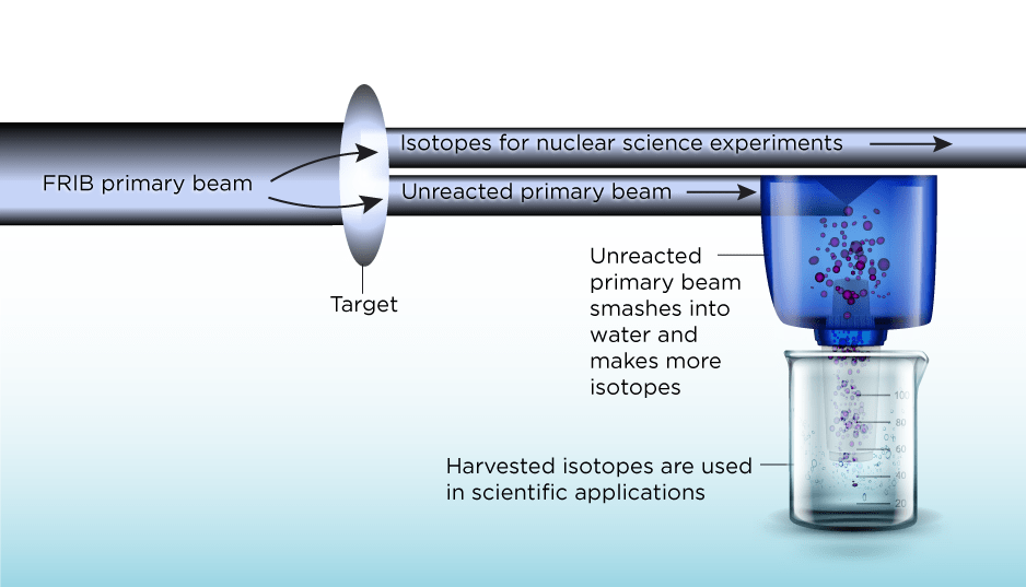 An infographic shows the fundamentals of isotope separation. First, FRIB's primary particle beam hits a target. A portion of the primary beam hits atoms in the target, generating isotopes for nuclear science experiments. But some of the primary beam passes through the target without reacting. This unreacted beam continues to a 