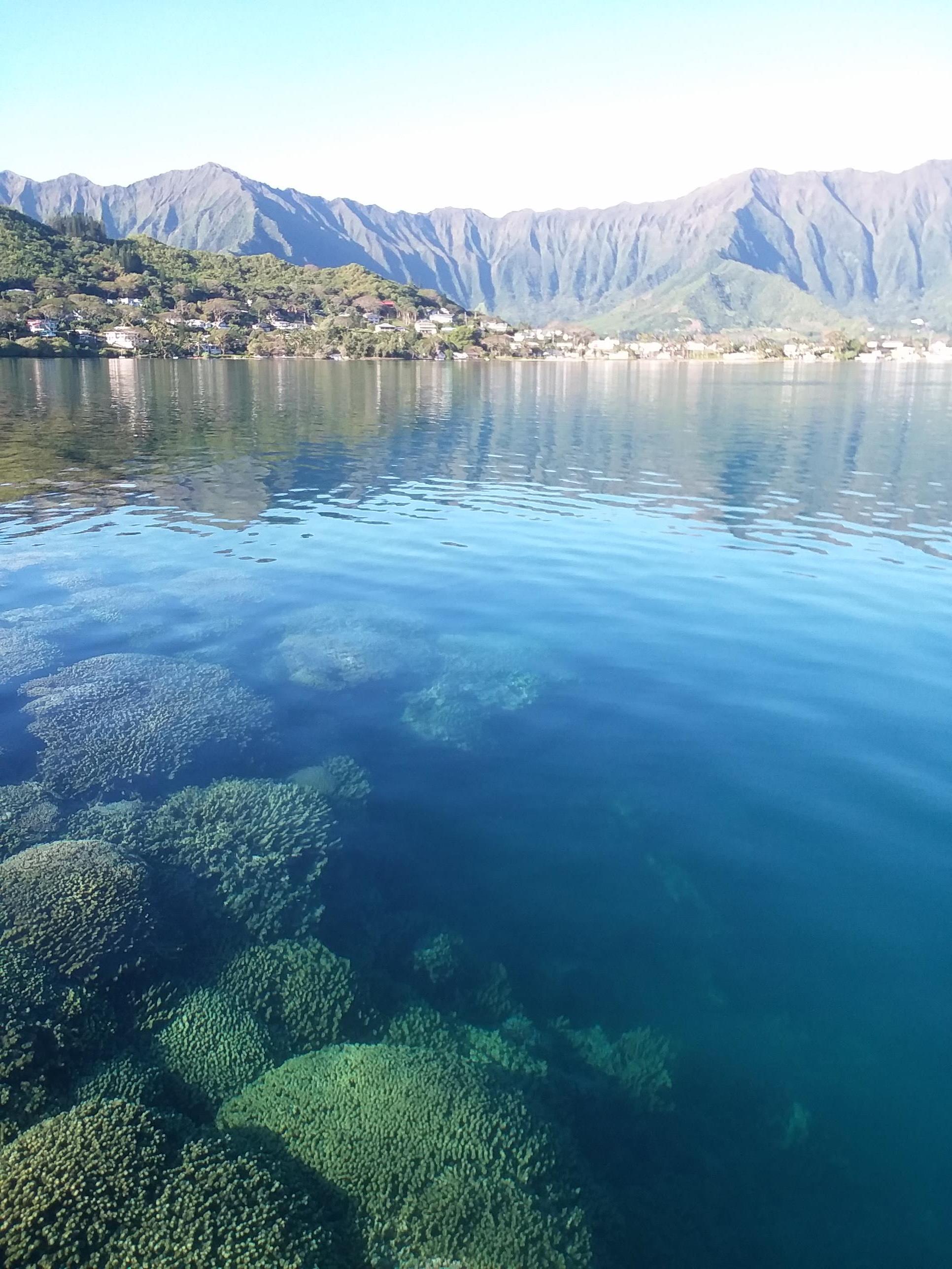Corals are seen submerged in the foreground, under clear blue-green water. In the background, a view of some of Hawaiʻi’s white sandy beaches, lush green hillsides and brown mountain tops.