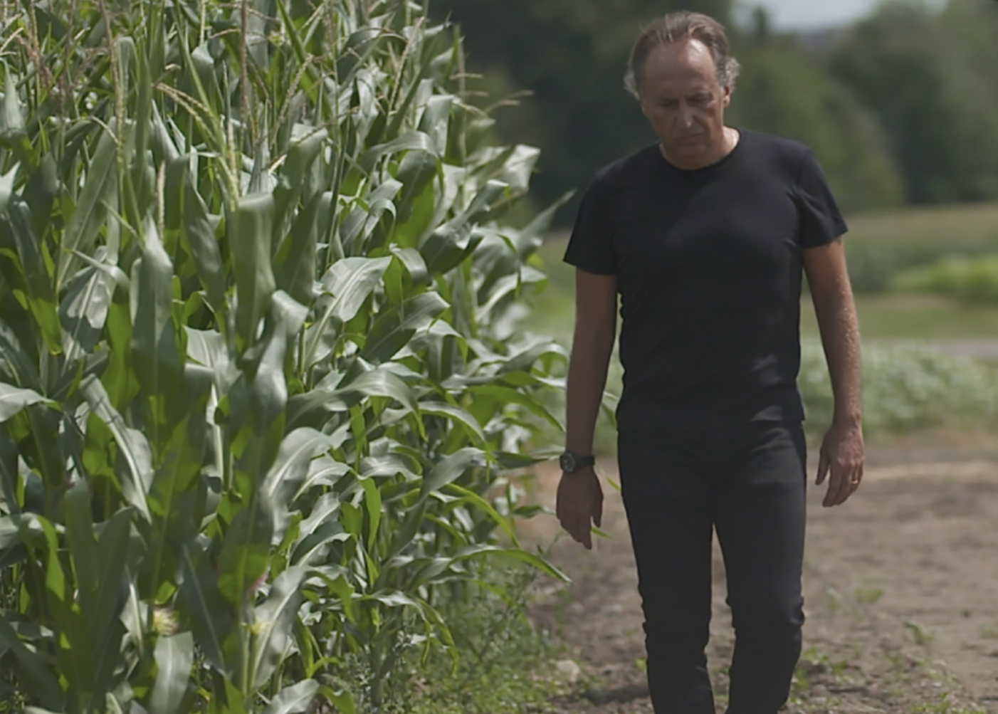 Bruno Basso in a cornfield, courtesy of Val Osowski