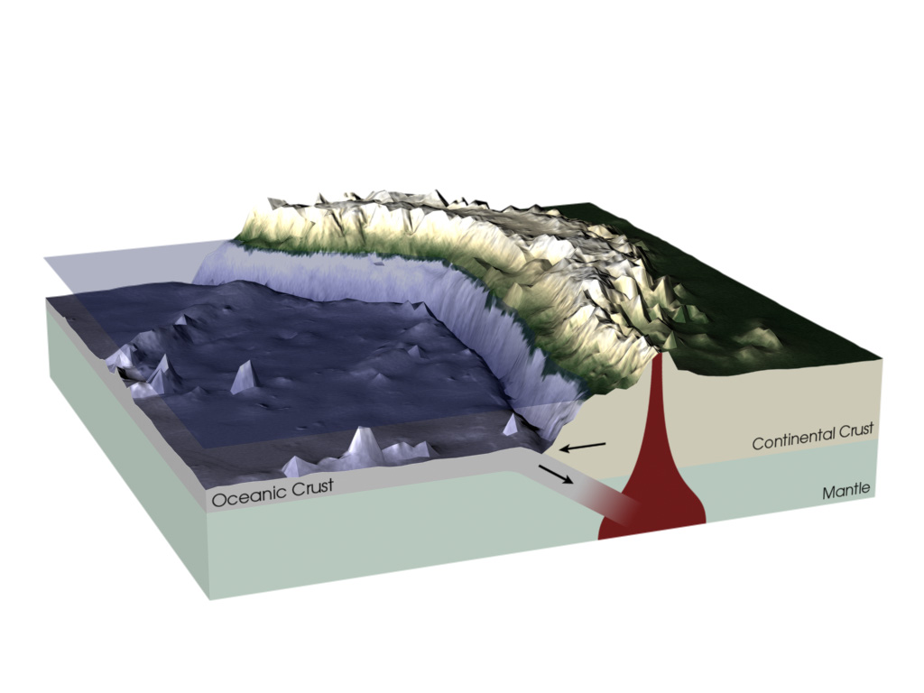 A 3-D illustration shows a thin slab of gray oceanic crust, which is covered by water, being pushed underneath thicker beige continental crust and into the Earth’s mantle, shown in a light green color. Mountains and volcanoes have formed on the continental crust above the subduction zone.