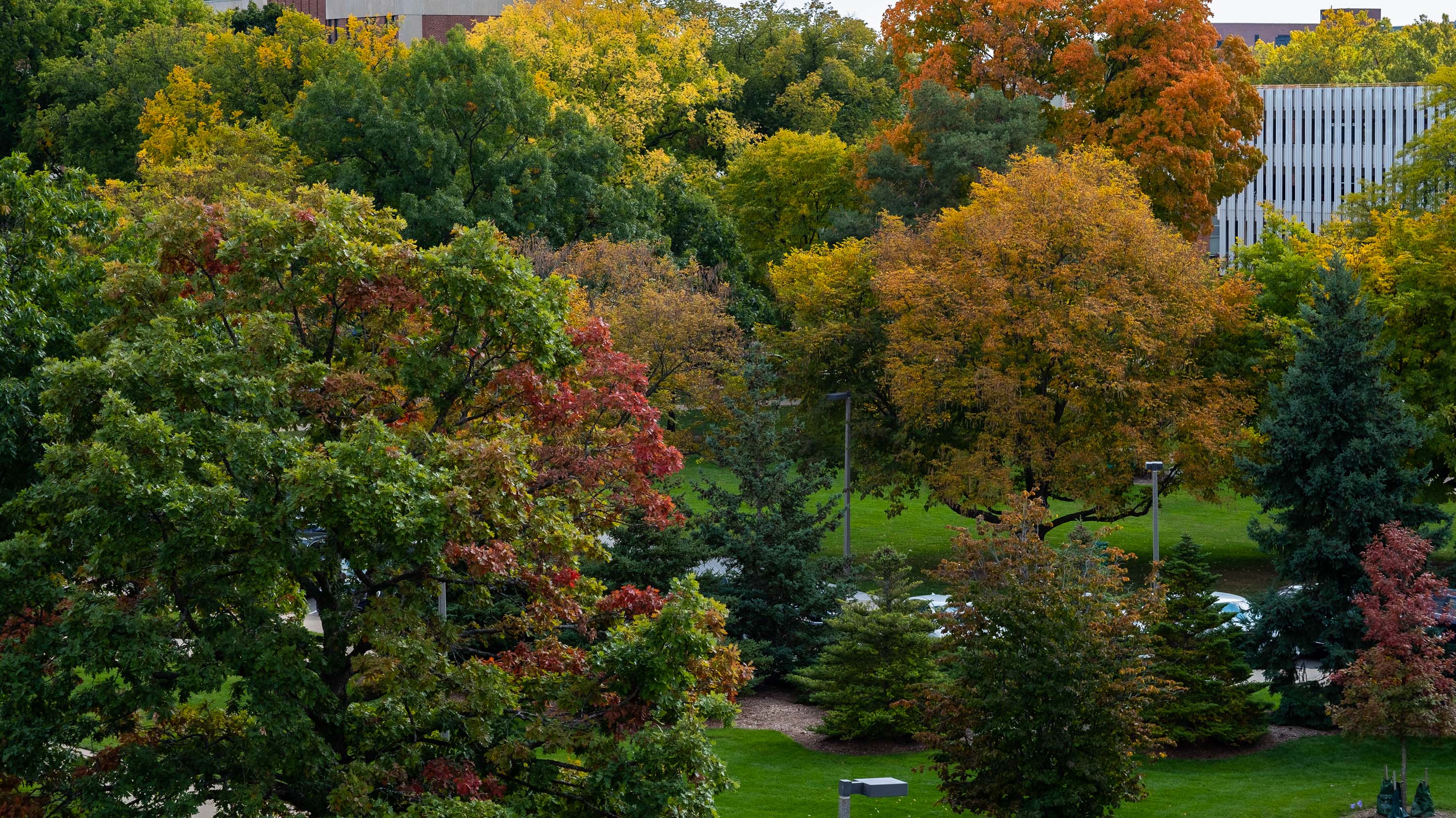 The week in photos MSUToday Michigan State University