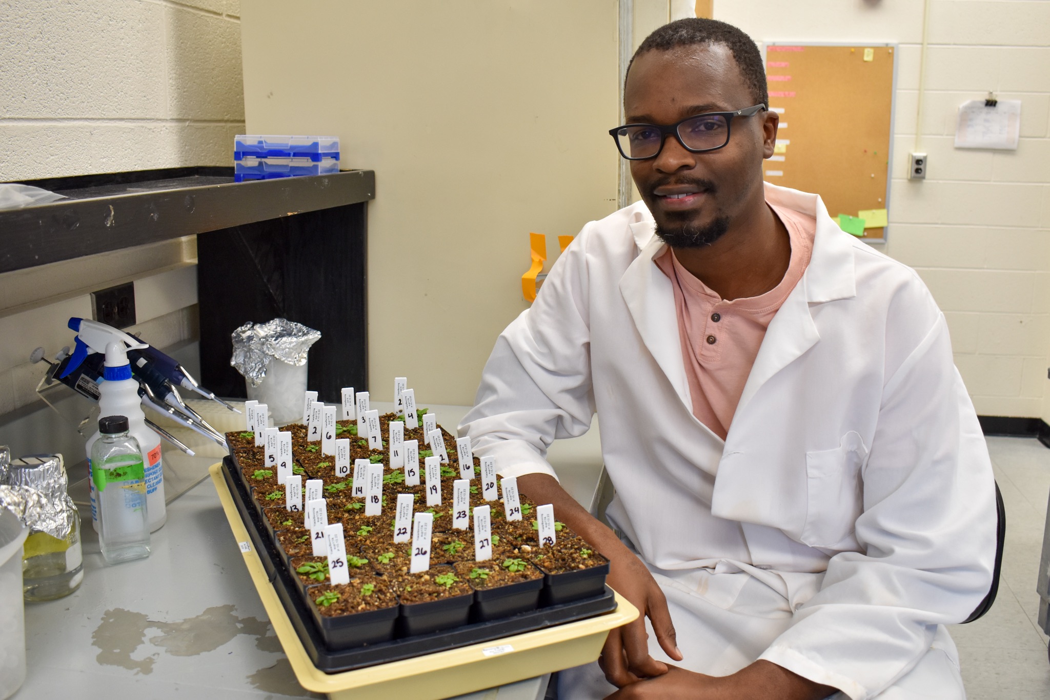 Postdoctoral researcher Yosia Mugume with Arabidopsis thaliana plants