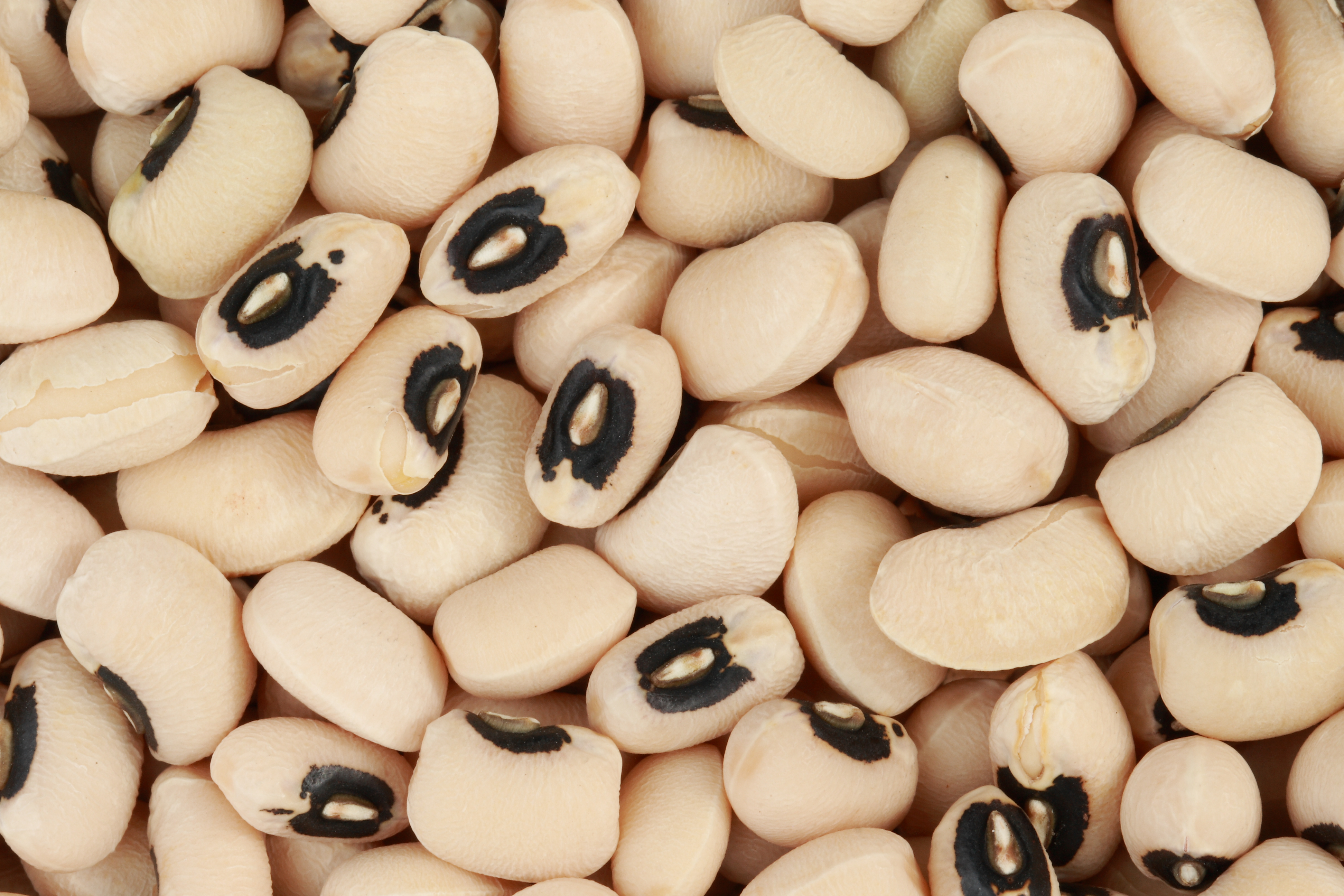 A photograph of black-eyed peas.