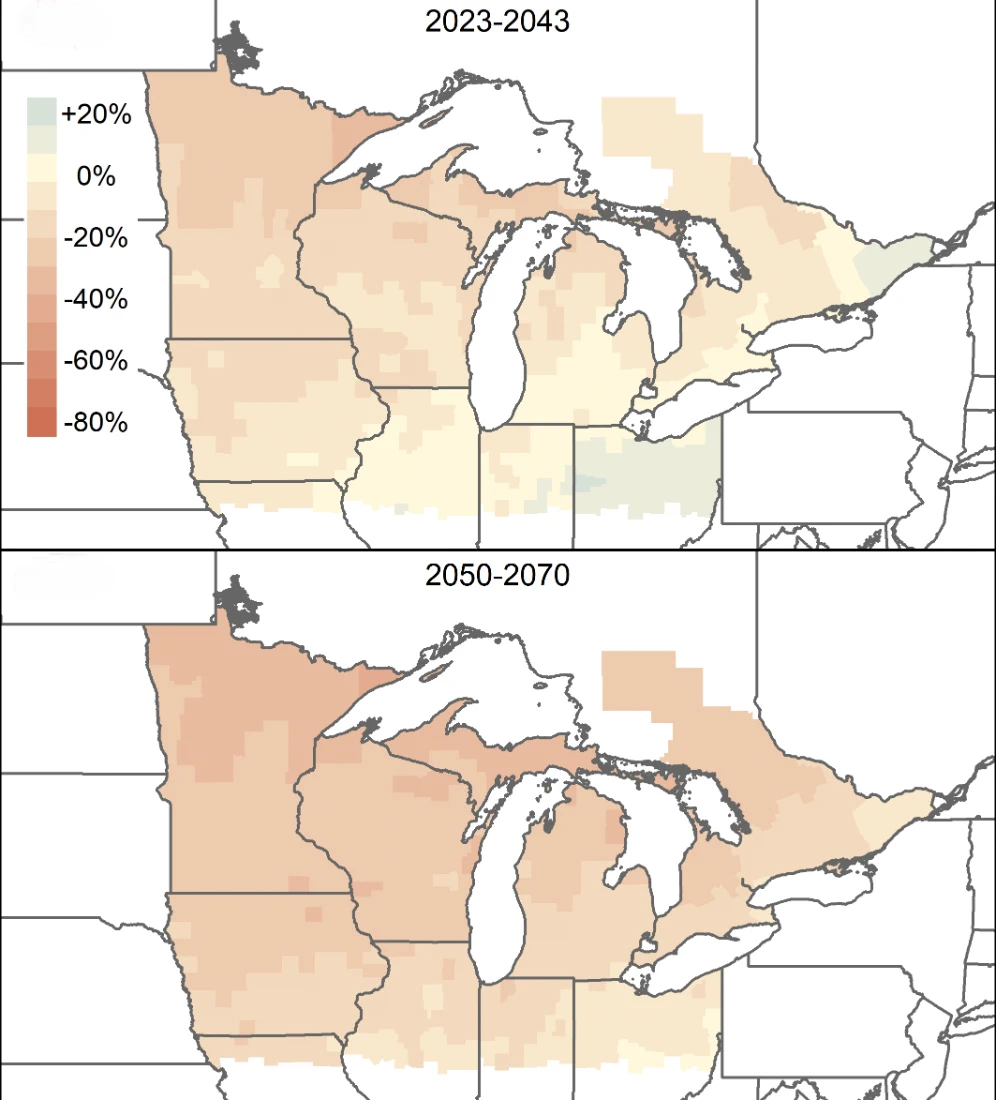 Two maps stacked vertically of the northern U.S. and southern Canada show projected changes in monarch butterfly populations. The top map is for 2023 to 2043 and the bottom is for 2050 to 2070. In the top map, areas of Ohio and Canada feature counties shaded green, indicating population growth up to about 20% from 2004 to 2018 levels. Pockets of southern Michigan, Indiana and Illinois contain yellow counties, indicating no change. The remaining areas in the Midwest feature orange hues, showing decreases of about 10% to 20%. In the lower map, most counties are darker orange, indicating greater declines in monarch abundance.