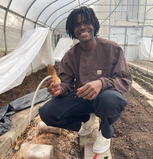 A Black man kneels next to a garden in a greenhouse. He is holding a morel mushroom.