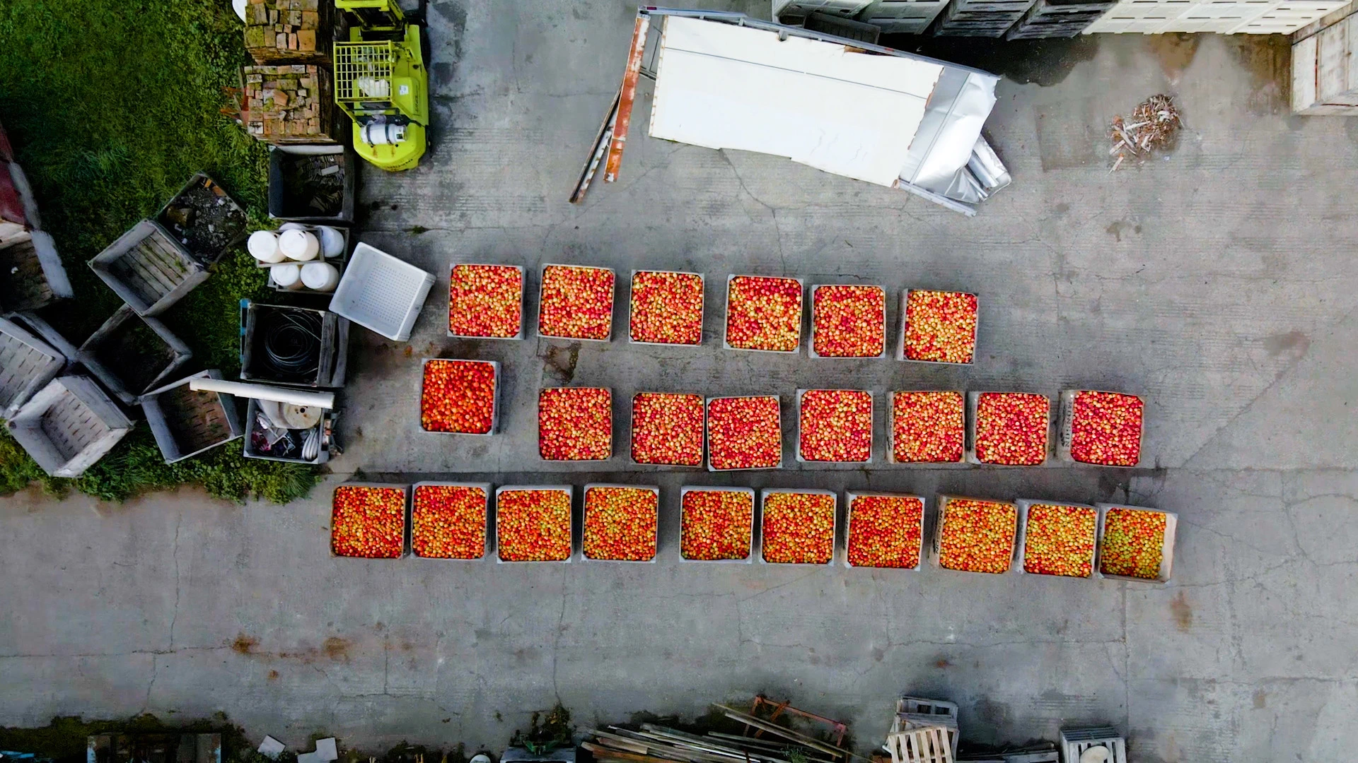 Drone shot of apple bins full of apples