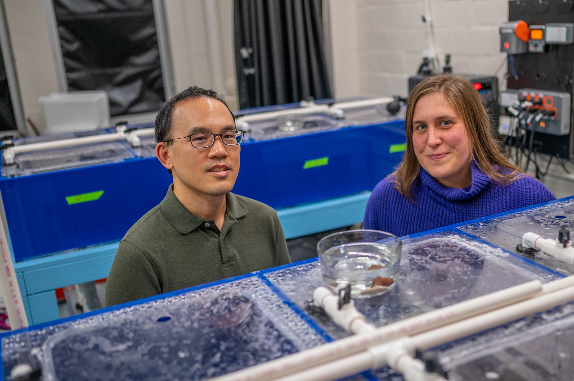 MSU Associate Professor Kevin Liu (left) and MSU Assistant Professor Elizabeth Heath-Heckman (right) stand in the Heath-Heckman Symbiosis Lab, between rows of aquariums with clear lids and blue-paneled sides.