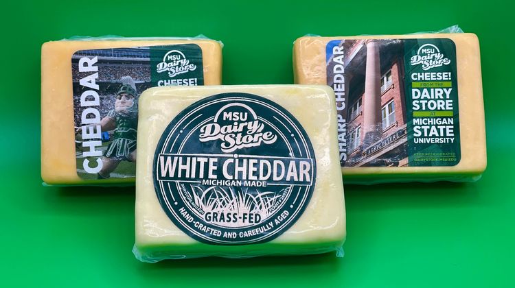 MSU Dairy Store holiday cheese gift box contents, which includes half-pound blocks of MSU made cheddar, sharp cheddar and grass-fed white cheddar cheeses.