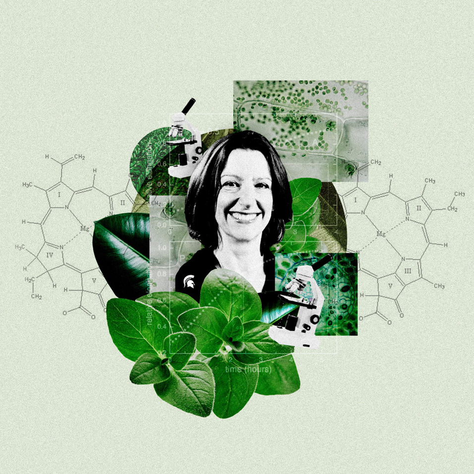 A black-and-white photo of Federica Brandizzi is shown with a collage of green leaves, microscope images of plant cells and chemical structures.