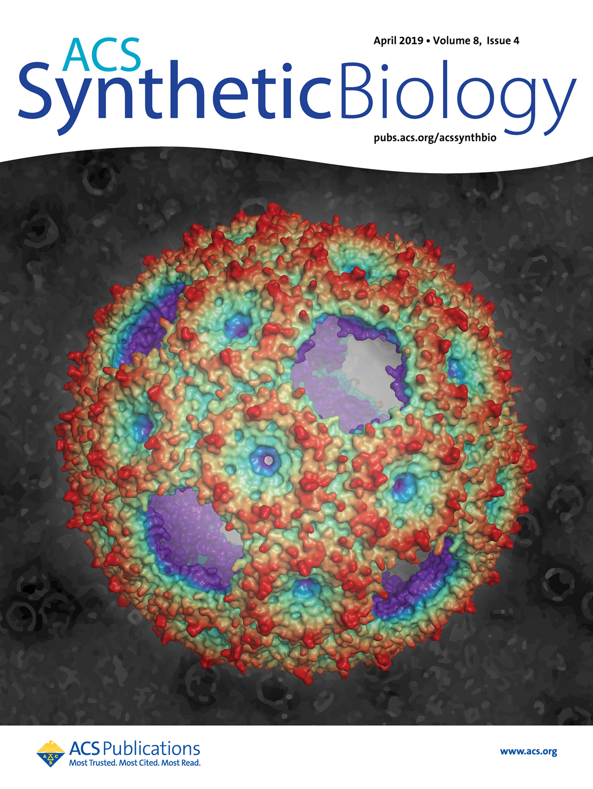 Cover art for volume 8, issue 4 of ACS Synthetic Biology from April 2019 highlights some of the work done by Cheryl Kerfeld’s team. The cover shows a computer rendering of the outer protein shell of a microcompartment synthesized by the team. It looks like a bumpy wiffle ball, with the protein structures protruding out of the surface colored in red, while divots and holes are shown in greens, blues and purples.