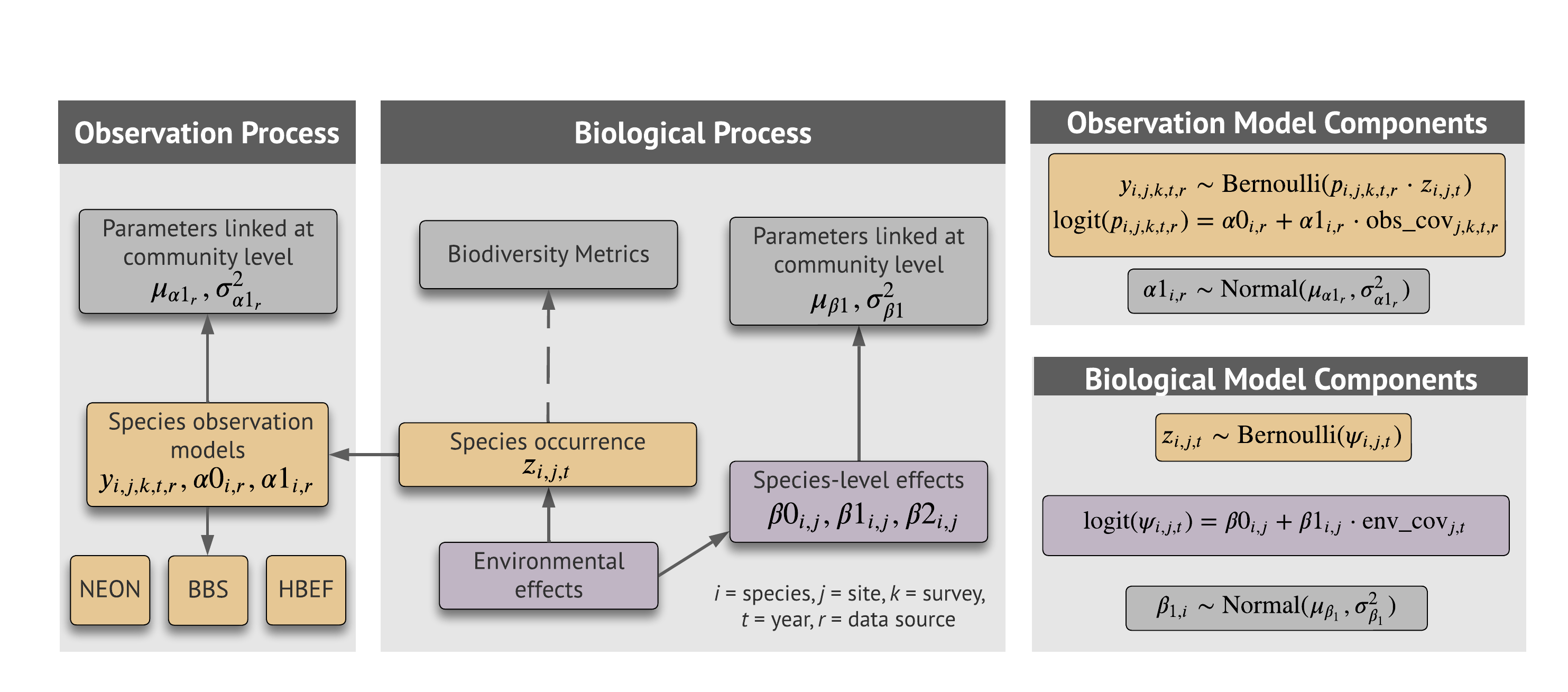 Biodiversity occupancy model