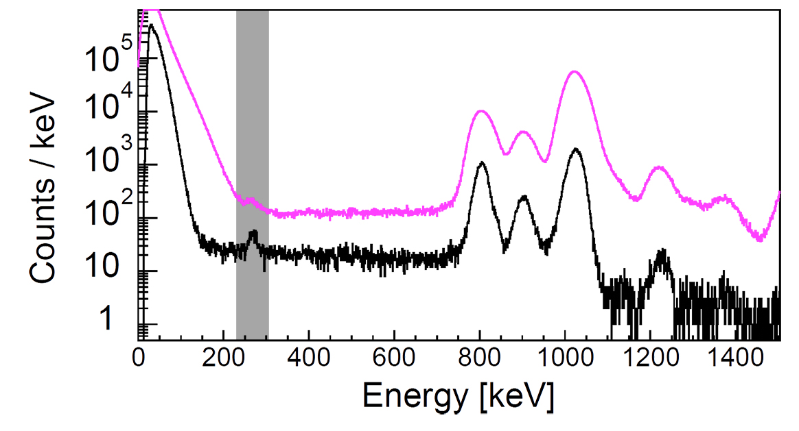 This graph shows proton detection data from the GADGET instrument. Readings from a single detector pad are shown in black and an aggregated signal from five pads is shown in pink. In both curves, several peaks are obvious above energies of about 800 keV, or kiloelectronvolts. What GADGET allowed researchers to detect was the important but tiny blip at the low energy of 260 keV (highlighted with a gray bar).  Before these measurements, a proton peak this weak from this type of nuclear process had never been detected below 400 keV. 