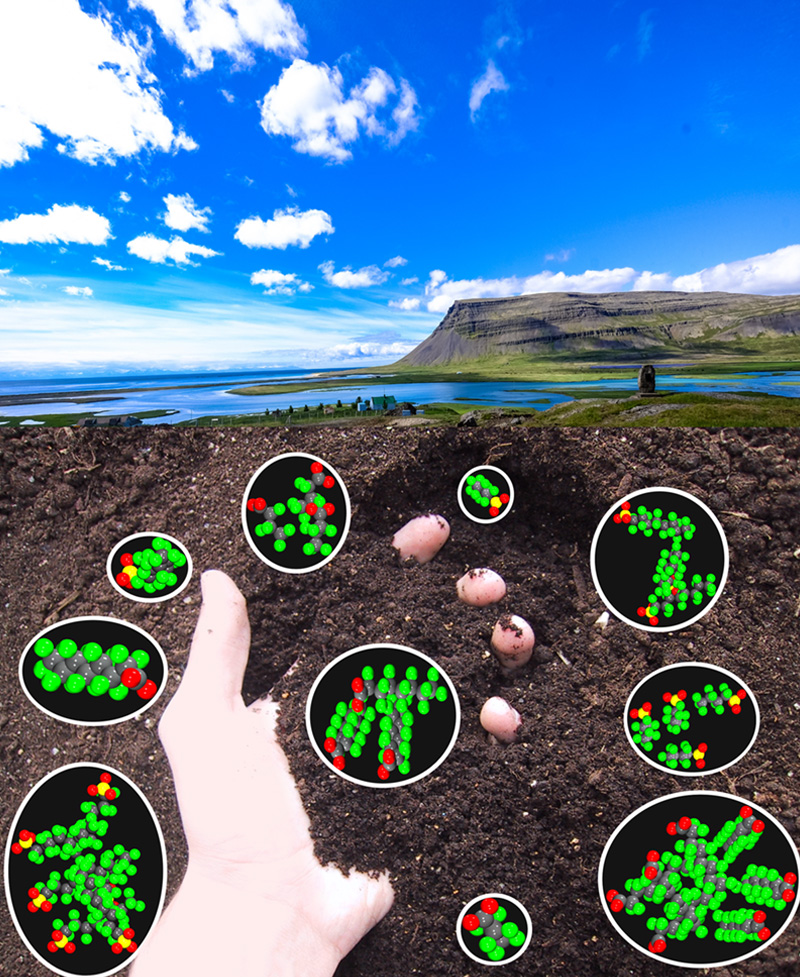 An image shows a hand holding soil in front of green grass and a blue stream. Around the hand, several different structures of PFAS molecules are shown, with gray, green, yellow and red orbs representing individual atoms. Some structures contain only a handful of atoms, while others have dozens.