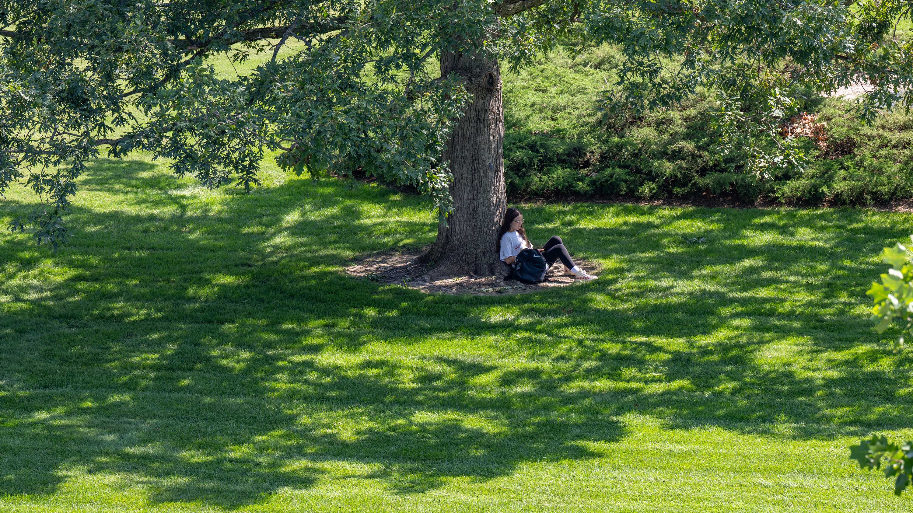 University Of Michigan 2025 Calendar