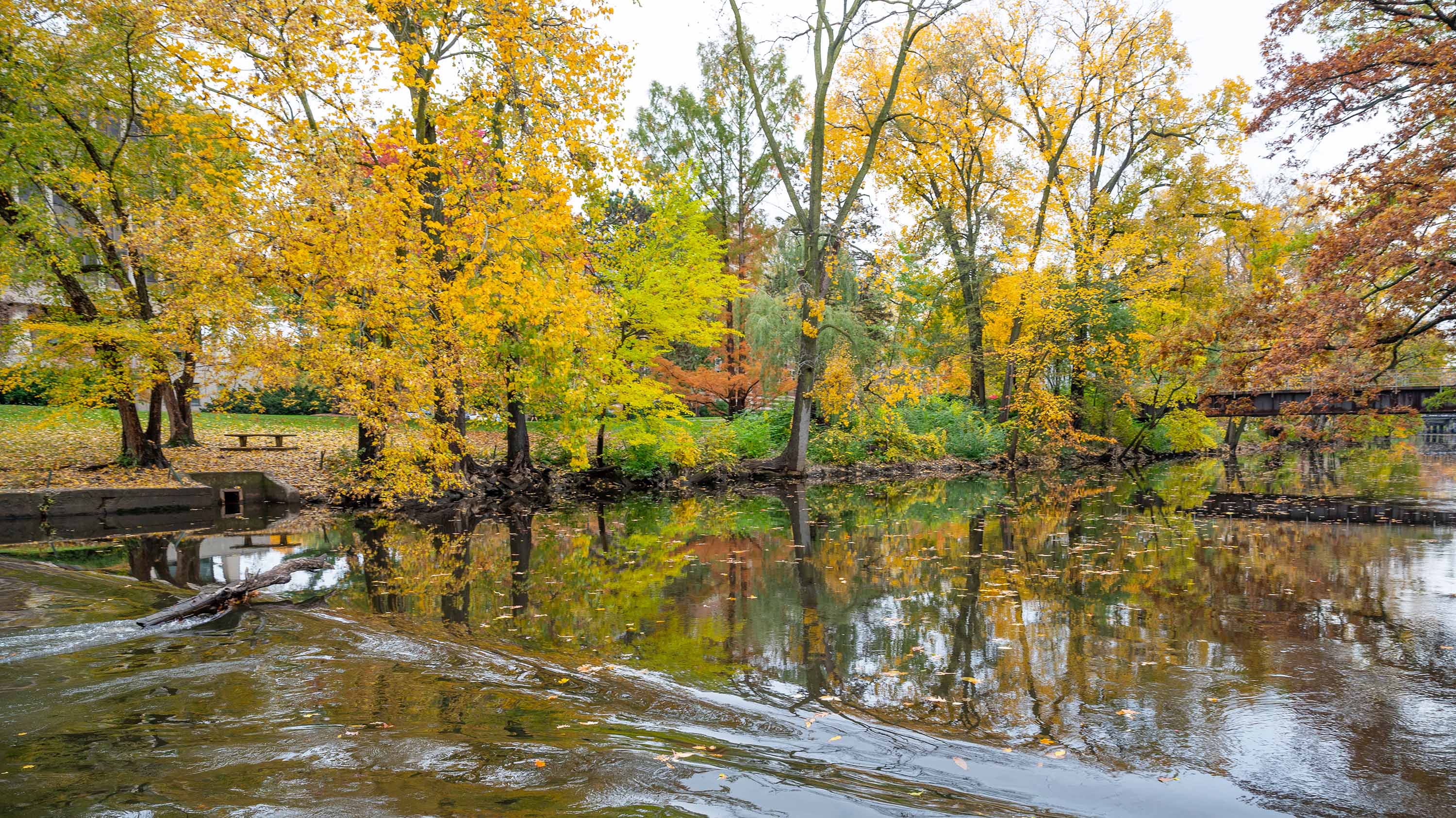 the-week-in-photos-msutoday-michigan-state-university