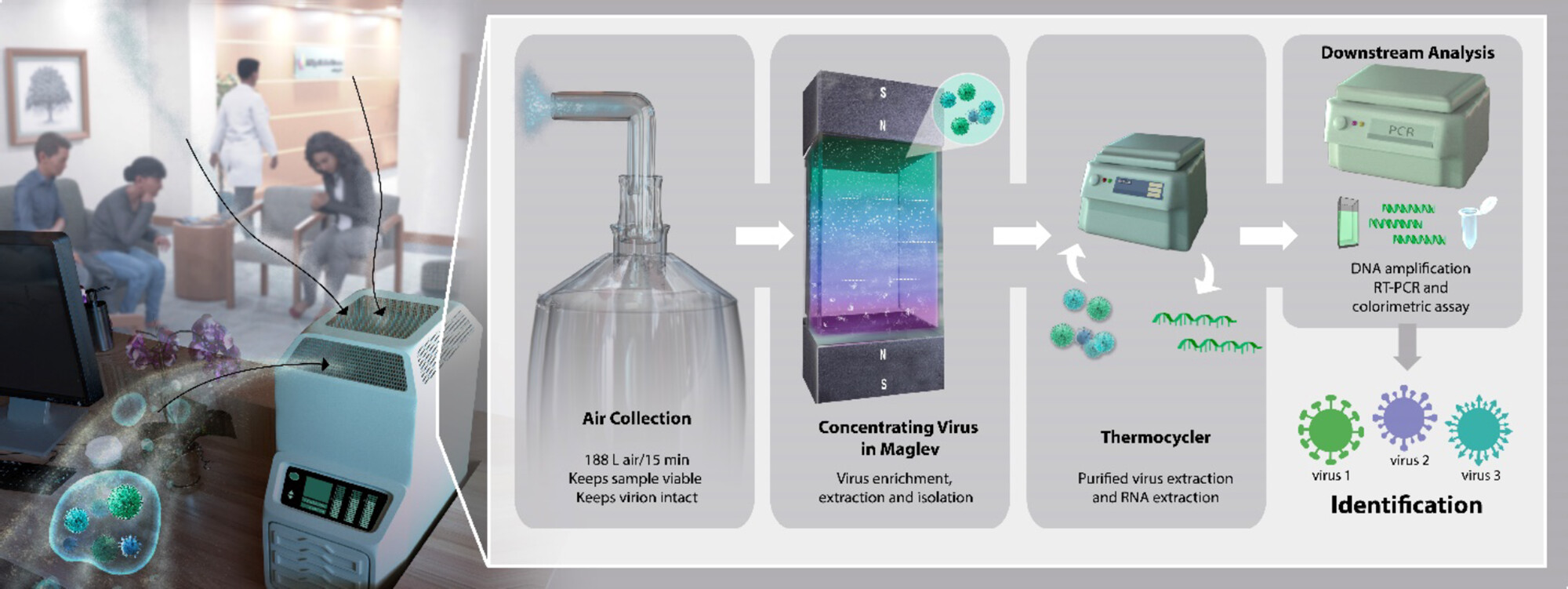 A schematic with five panels shows the proposed operation of a new early-detection system for airborne viruses. The first panel shows illustrated viruses entering a small machine in a doctor’s office. The next panel shows the bag inside the machine used for air collection. The air from the bag is then injected into a fluid chamber where viruses are isolated and concentrated using magnetic levitation. In the next step, the purified viruses are heated and cooled, or thermocycled, to extract DNA or RNA. The final step is identifying the virus by its genetic code using a technique like polymerase chain reaction, or PCR.