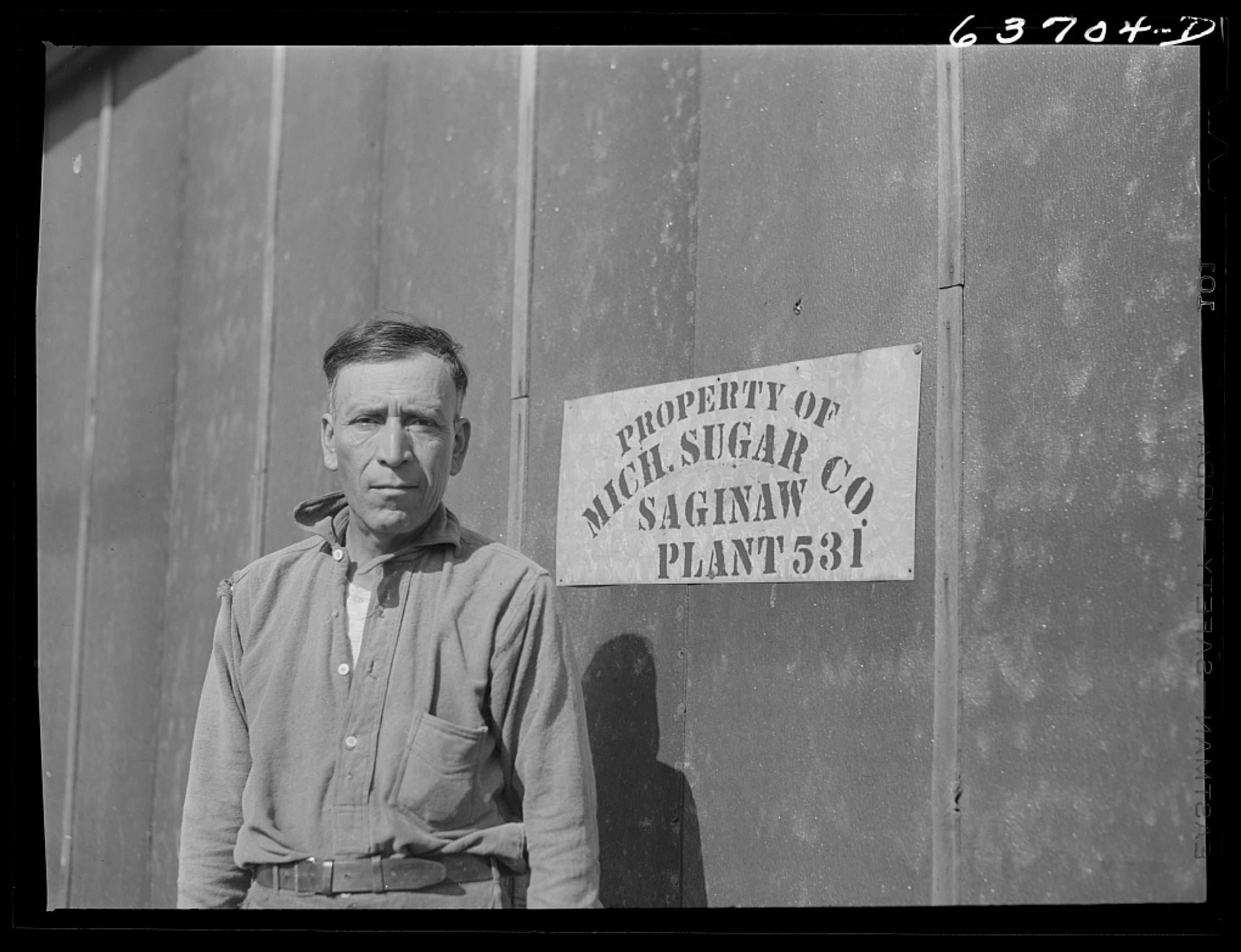 Sugar beet farmworker in Saginaw County. Photo accessed through the Library of Congress 