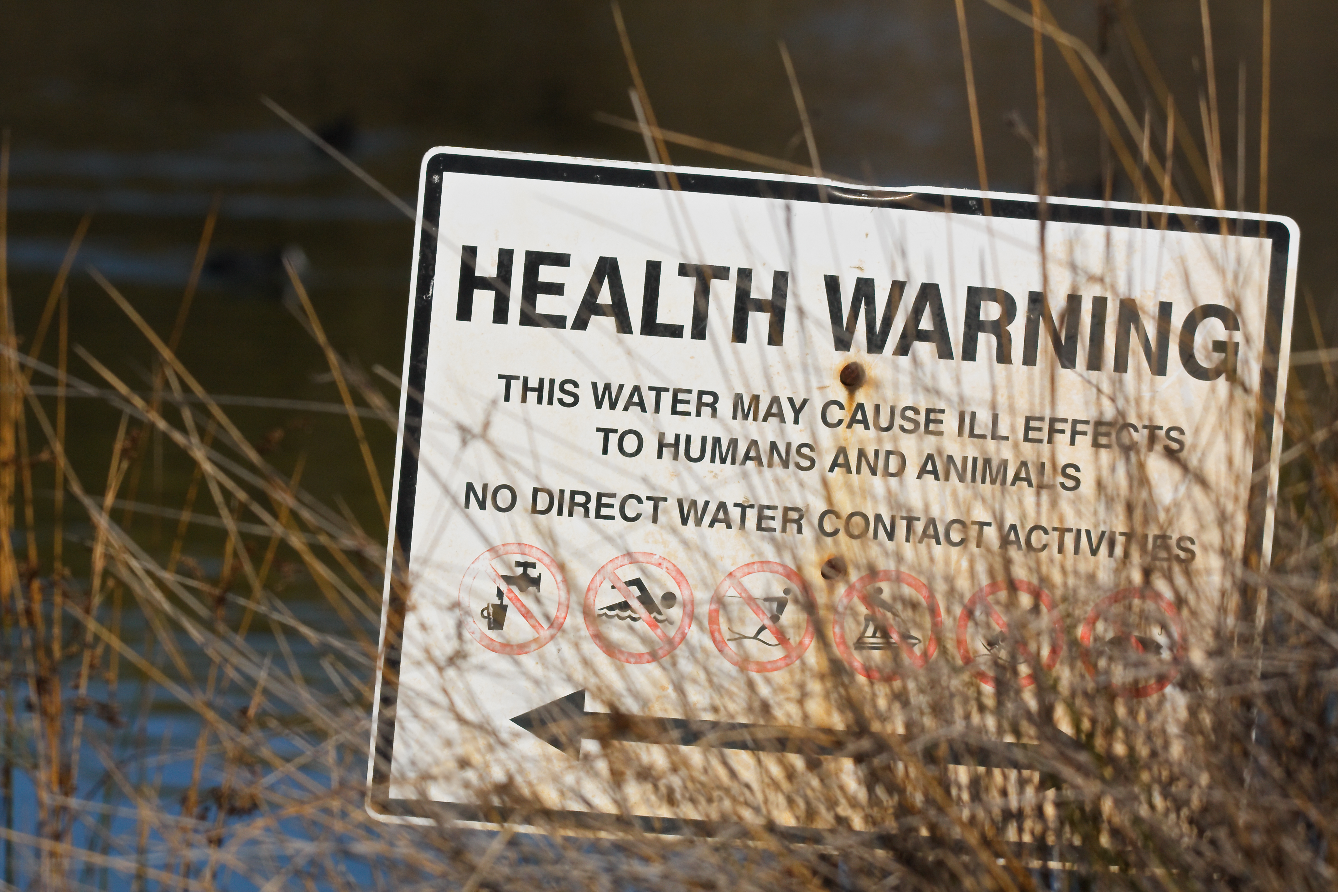 A health warning sign sitting beside a body of water