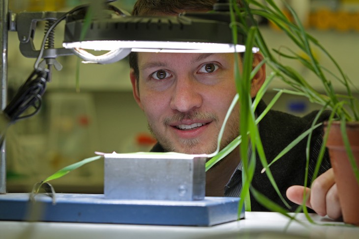 A photograph of Michigan State University Assistant Professor Berkley Walker looking through an experimental setup where light is shining onto a green plant.