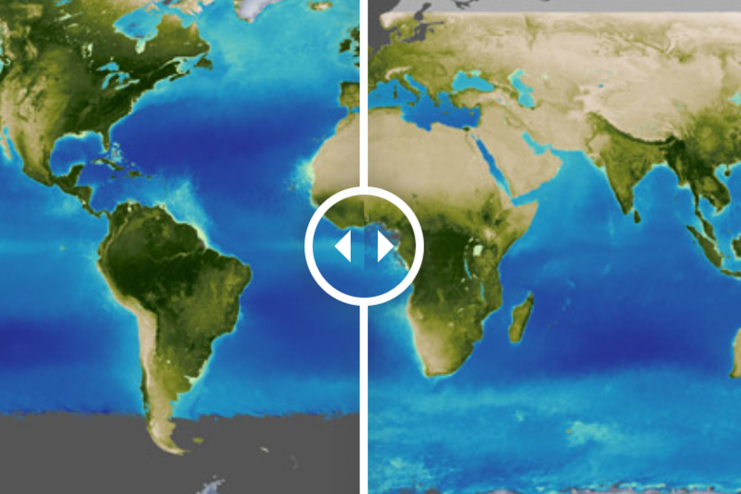 A satellite image of earth showing plant growth, as North and South America are green, and Africa and much of Asia is brown desert