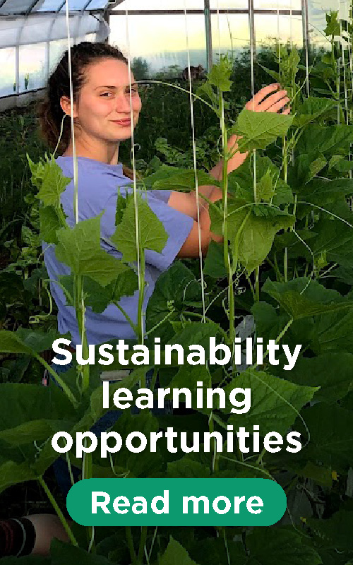 Image of student in green house with text 