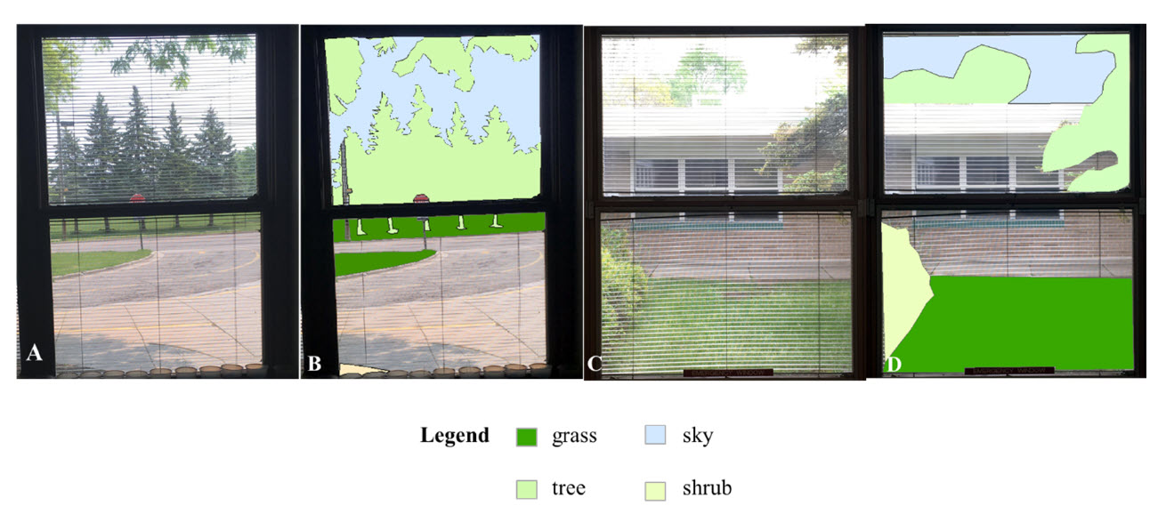 Examples of original images from classroom (A,C) and images with quantified nature as polygons (B,D). Courtesy of Amber Pearson