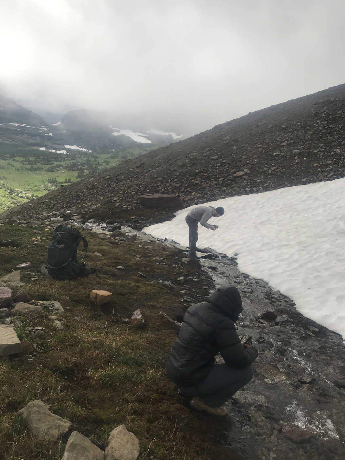 Two researchers look into a clear rocky stream running between a white snowfield to its right and grassy land to its left.