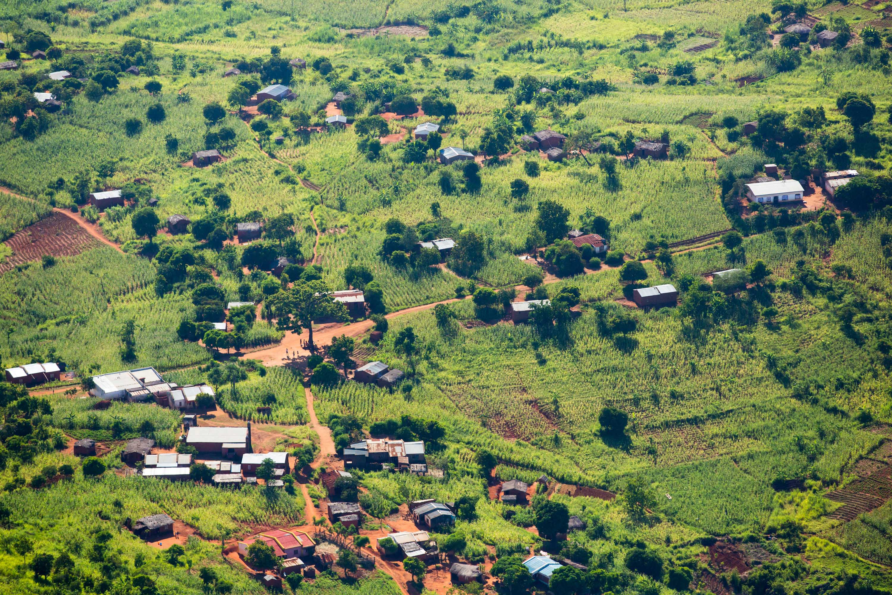 Landscape of buildings and trees in Malawi