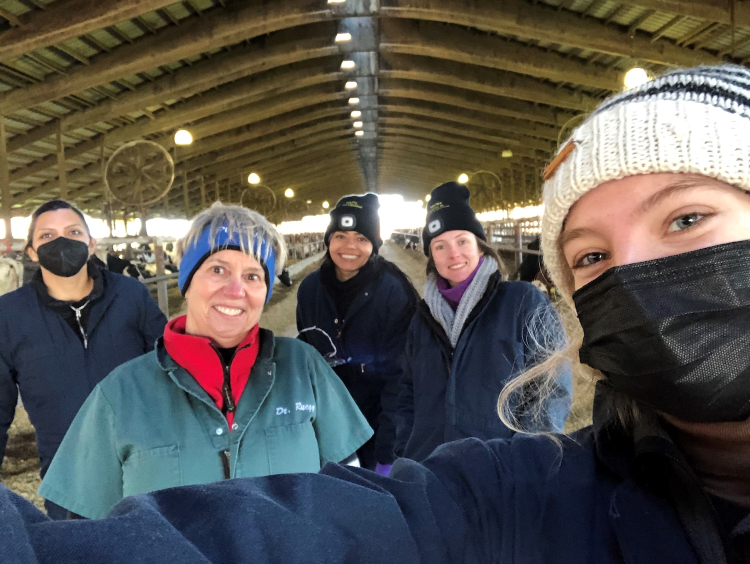 Pamela Ruegg at a Michigan dairy farm with students.