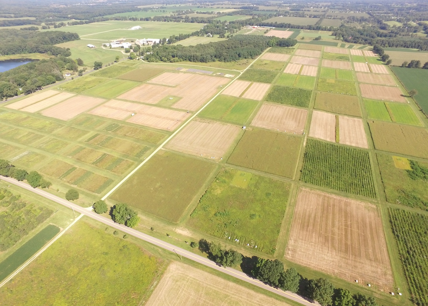 Drone image of the KBS LTER’s main cropping system experiment.