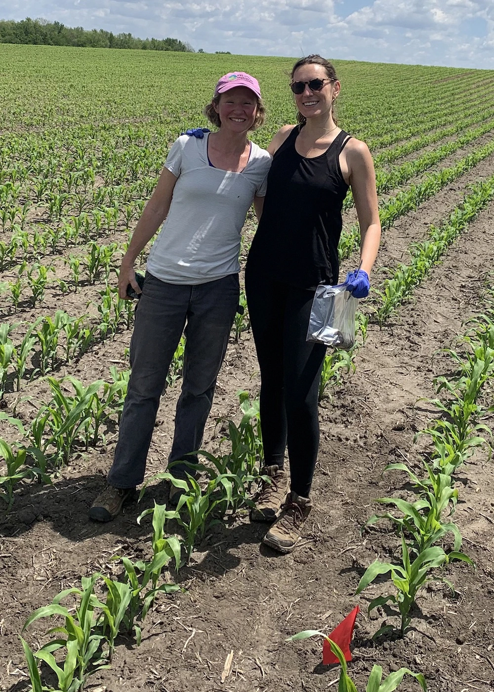Sarah Evans (left) and LTER graduate student Corinn Rutkoski collect soils in an agricultural field to examine what microorganisms degrade pesticides. 